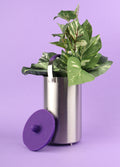Ardent FX Infusion Vessel | One Colour-Image 1