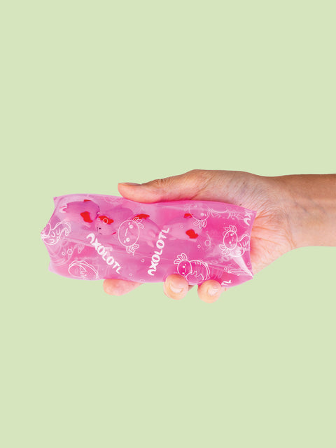 Axolotl  Snake Toy