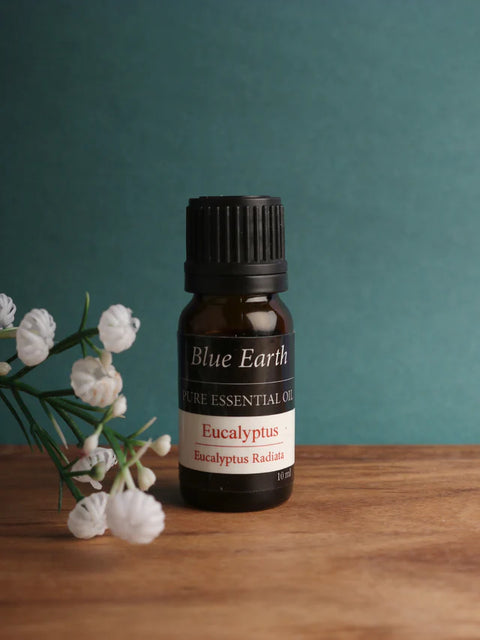 BLUE EARTH SPA PACK