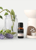 Blue Earth Essential Oil | Lavender-Image 1