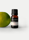 Blue Earth Essential Oil | Lime-Image 1