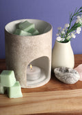 Chickpea Wax Melts | Coconut + Lime-Image 1