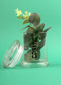 Cosmic Glass Jar | Black-Image 1