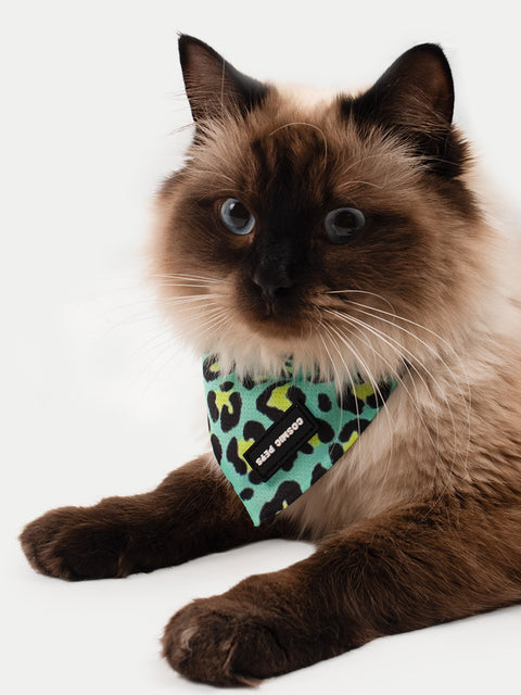 Cosmic Pets Bandana