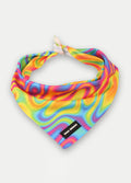 Cosmic Pets Bandana | Rainbow Swirl-Image 1