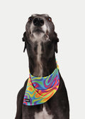 Cosmic Pets Bandana | Rainbow Swirl-Image 2