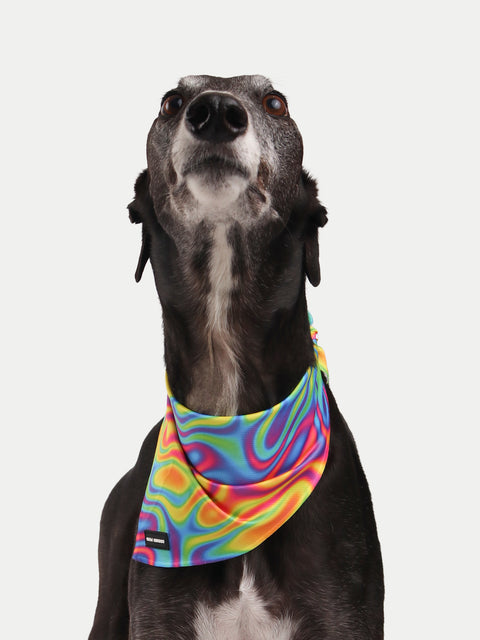 Cosmic Pets Bandana