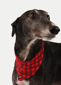 Cosmic Pets Bandana | Red Plaid-Image 2