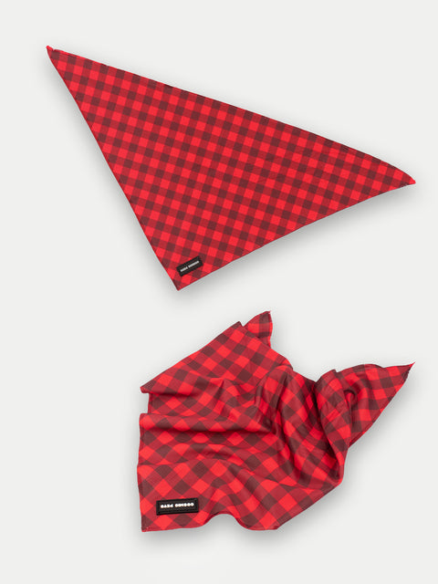 Cosmic Pets Bandana