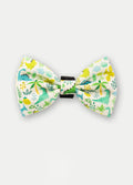 Cosmic Pets Bow | Flora and Dinosaurs-Image 1
