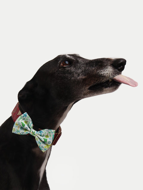 Cosmic Pets Bow