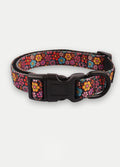 Cosmic Pets Dog Collar | Floral-Image 1