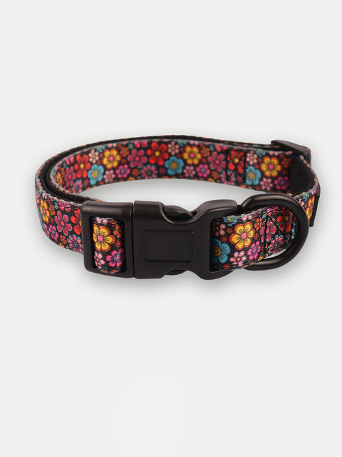 Collars