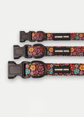 Cosmic Pets Dog Collar | Floral-Image 2