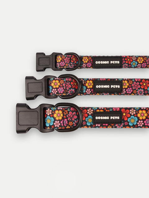 Cosmic Pets Dog Collar