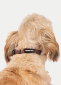 Cosmic Pets Dog Collar | Floral-Image 3