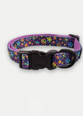 Cosmic Pets Dog Collar | Peace Rainbow-Image 2
