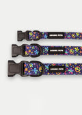 Cosmic Pets Dog Collar | Peace Rainbow-Image 3