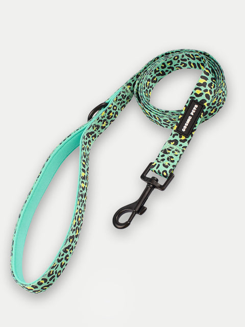 Leads