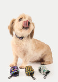 Cosmic Pets Poop Bag Holder | Monstera-Image 4