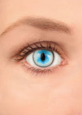 Costume Contact Lenses | Ragdoll Cat Blue-Image 1