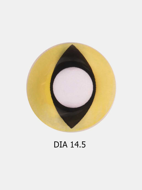 Costume Contact Lenses