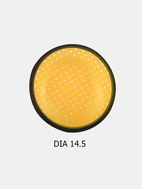 Costume Contact Lenses