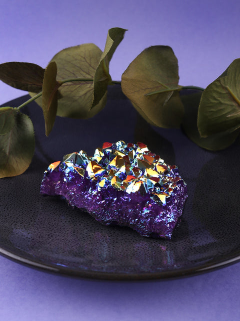 Dragon Rainbow Clusters