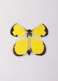 Fluttering Butterfly 3pc | One Colour-Image 2