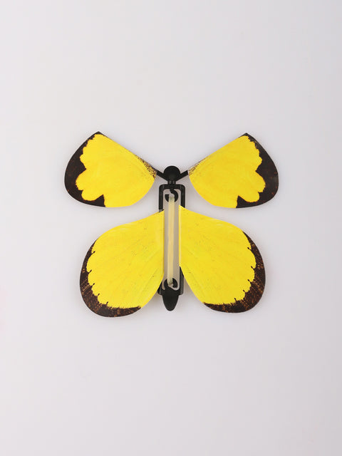 Fluttering Butterfly 3pc