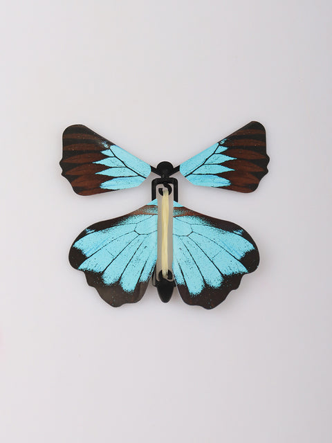 Fluttering Butterfly 3pc