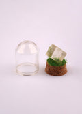 Gemstone & Mineral Glass Dome | Calcite-Image 2