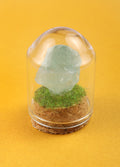 Gemstone & Mineral Glass Dome | Fluorite-Image 1