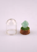 Gemstone & Mineral Glass Dome | Fluorite-Image 2