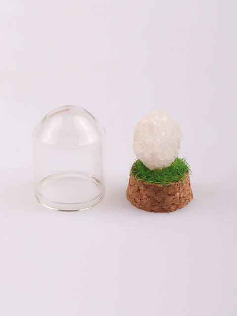 Gemstone & Mineral Glass Dome