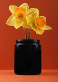 Glass Stash Jar 250ml | One Colour-Image 1