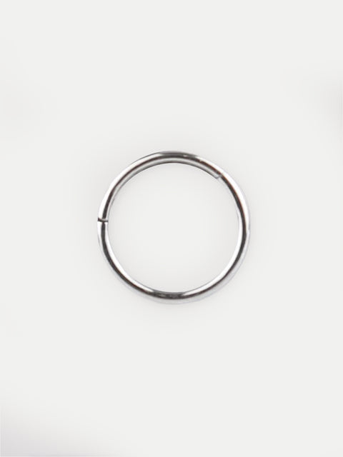 Hinged Ring 20G