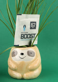 Integra Boost 8GM 62% Humidity Pack | One Colour-Image 1