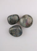 Labradorite Gallet B Grade | One Colour-Image 3