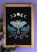 Luna Moth Wooden Framed Wall Art | One Colour-Image 1