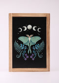 Luna Moth Wooden Framed Wall Art | One Colour-Image 2