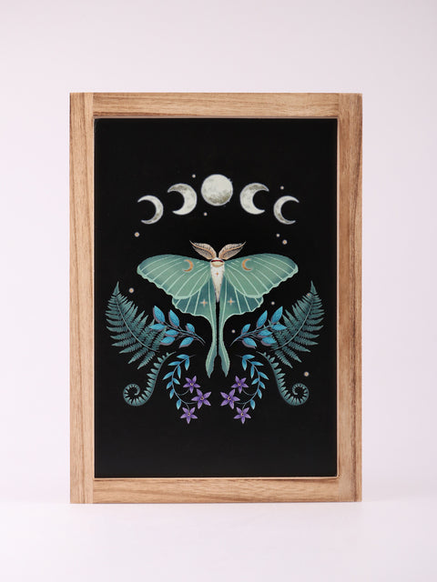 Luna Moth Wooden Framed Wall Art