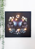 Midnight Moth Light Up Canvas | One Colour-Image 1