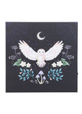 Night Owl Light Up Canvas | One Colour-Image 2
