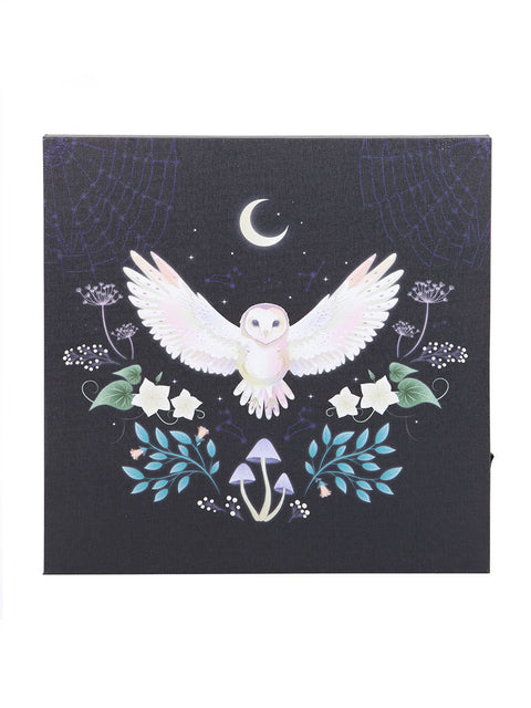 Night Owl Light Up Canvas