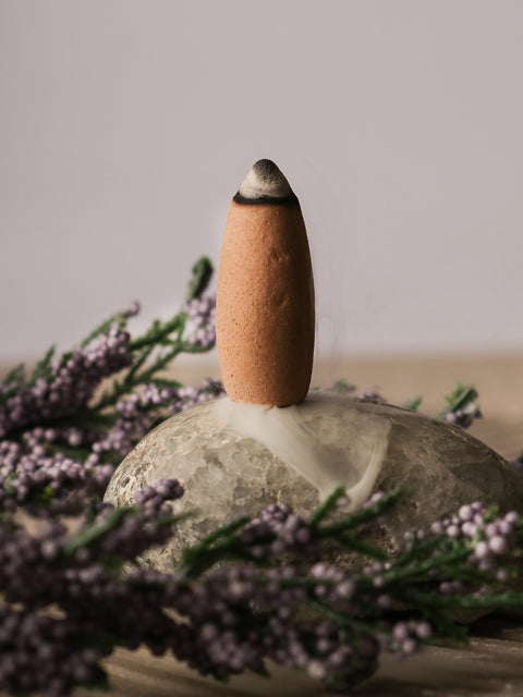 Organic Goodness Backflow Cones