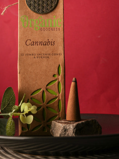 Organic Jumbo Cones - Cannabis