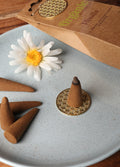Organic Jumbo Cones - Lavender | One Colour-Image 1