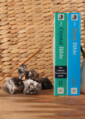Rough Smokey Quartz Pieces | One Colour-Image 1