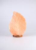 Salt Lamp Leaf Shape | One Colour-Image 2